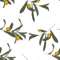 Olive branch with green olives seamless pattern.