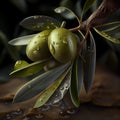Olive branch with green olives wet from the morning rocio - Generated Artificial Intelligence - AI