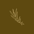 Olive Branch with leaves. Outline Botanical leaves In a Modern Minimalist Style. Vector Illustration.
