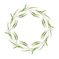 Olive branch with leaves round decorative frame. Watercolor illustration. Elegant olive twig wreath with green leaves Royalty Free Stock Photo