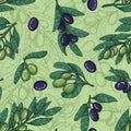 Olive branch with leaves seamless pattern Royalty Free Stock Photo