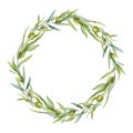 Olive branch and leaves wreath watercolor image. Organic mediterranean plant close up decor. Botanical floral realistic