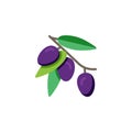 Olive branch with olives fruit flat icon