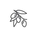 Olive branch with olives fruit line icon