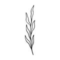 Olive branch outline hand drawn element. Herbs doodle botanical icon for logo. Vector illustration isolated on white background