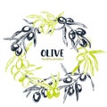 Olive branches, hand drawn retro style vector illustrations. Royalty Free Stock Photo