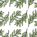 Olive branch seamless pattern. White background. Vector illustration Royalty Free Stock Photo