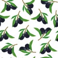 Olive branch seamless watercolor pattern. Ripe black fruits and leaves on sprig of mediterranean tree. Botanical sketch Royalty Free Stock Photo