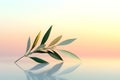 Olive branch with soft pastel background