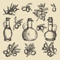 Olive branch, tree and oil and bottle. Hand drawn vintage pictures of different olive products Royalty Free Stock Photo