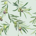 Olive branch watercolor seamless pattern isolated Green leaves and olives repeated background Spring leafy botanical illustration Royalty Free Stock Photo