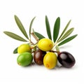 Olive branch with yellow, green and black berries close-up isolated on white, lovely food background for advertising
