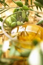 Olive branches Royalty Free Stock Photo