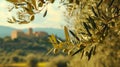 Olive branches adorn an olive grove near a medieval Mediterranean castle, evoking a rustic charm. Ai Generated Royalty Free Stock Photo
