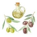 Olive branches and a bottle of olive oil drawing by watercolor. Royalty Free Stock Photo
