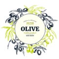 Olive branches, hand drawn retro style vector illustrations. Royalty Free Stock Photo