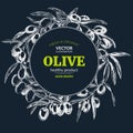 Olive branches, hand drawn retro style vector illustrations. Royalty Free Stock Photo