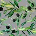 Olive branches pattern on gray background Royalty Free Stock Photo