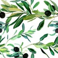 Olive branches pattern on white background Royalty Free Stock Photo