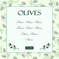 Olive branches product labels and template with copy space on light green background Royalty Free Stock Photo