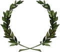 Olive branches wreath Royalty Free Stock Photo