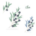 Olive digital clip art watercolor drawing flowers illustration similar on white background