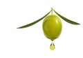 Olive with a drop of oil. Royalty Free Stock Photo