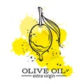 Olive with a drop of oil Royalty Free Stock Photo