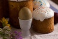 Olive Easter egg and pascaline bread on a table with flowers. Easter concept, background. Royalty Free Stock Photo