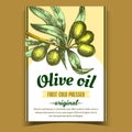 Olive Extra Virgin Organic Product Label Vector