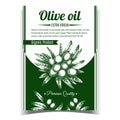 Olive Extra Virgin Organic Product Poster Vector