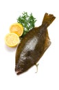 Olive flounder Royalty Free Stock Photo