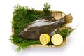Olive flounder Royalty Free Stock Photo