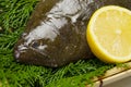 Olive flounder Royalty Free Stock Photo