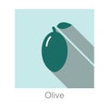 Olive food flat icon series vector illustration Royalty Free Stock Photo