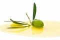 Olive fruit