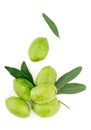 Olive fruit and olive leaves on a white background Royalty Free Stock Photo