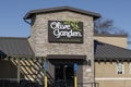 Olive Garden Italian Kitchen. Olive Garden is a division of Darden Restaurants