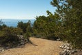 Olive Gardens of Lun with thousands years old olive trees, island of Pag Royalty Free Stock Photo