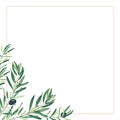 Olive golden frame. Black olive branches. Hand drawn watercolor botanical illustration isolated on white background. Can Royalty Free Stock Photo