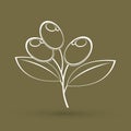 Olive graphic vector Royalty Free Stock Photo
