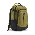 Olive Green Backpack Isolated on White Royalty Free Stock Photo