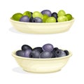 Olive Green and Black Pitted Fruit Rested on Plate Vector Set