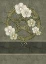 Olive Green Floral Pentagram Background Royalty Free Stock Photo