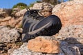 Olive green hiking boots on a natural background of sea and rocks Royalty Free Stock Photo