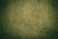 Olive green jeans fabric texture Royalty Free Stock Photo