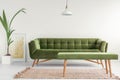 Olive green, stylish settee and an upholstered bench in a bright living room interior with white walls and a plant. Real photo. Royalty Free Stock Photo