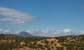 Olive grove, beautiful blue sky, thick white clouds Royalty Free Stock Photo