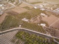 Olive groves, country houses, roads and irrigation canal in the rays of setting sun Royalty Free Stock Photo