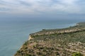 Olive groves, Gargano National Park, Apulia, Italy